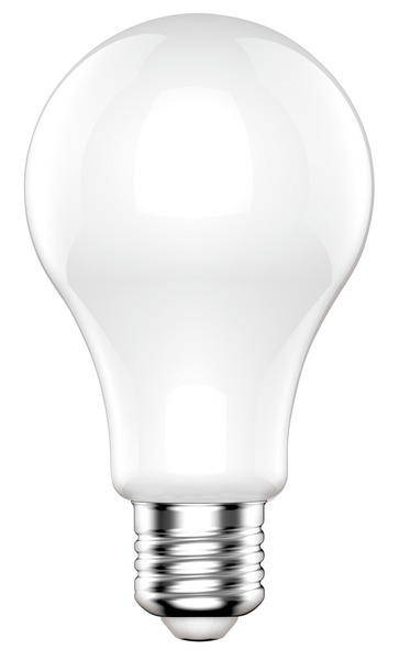 Articoli in evidenza