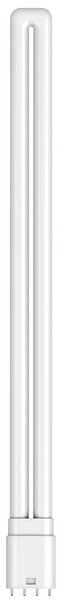 LAMPADA LED PL-L 4Pin 2G11 in Vetro, 24W, FA250°, 3000K, 220Vac, 3600LM, CRI80, 43,5*522mm, Classe D LAMPADA LED PL-L 4Pin 2G11 in Vetro, 24W, FA250°, 3000K, 220Vac, 3600LM, CRI80, 43,5*522mm, Classe D