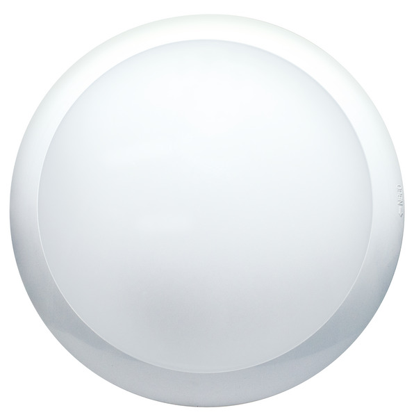 Articoli in evidenza