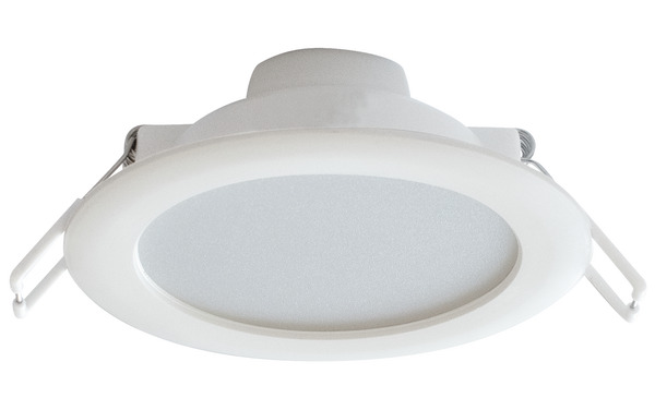 Articoli in evidenza