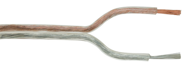 Piattine Trasparenti