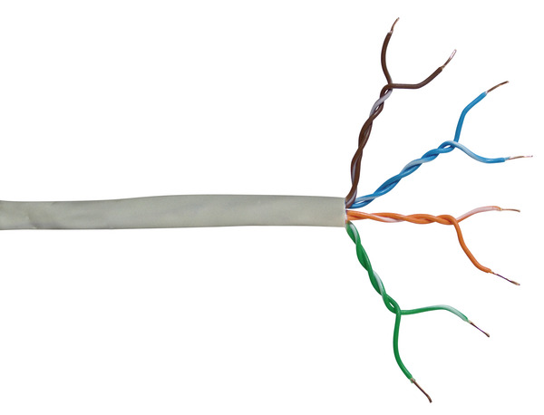 Articoli in evidenza